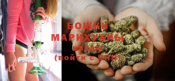 шишки Коряжма