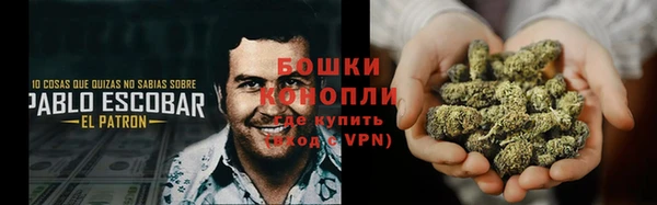 соль ск Лагань