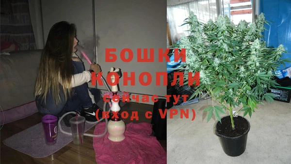 индика Лабытнанги