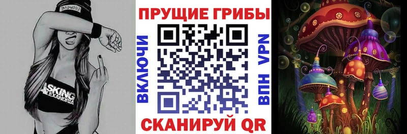 Галлюциногенные грибы прущие грибы  Медвежьегорск 